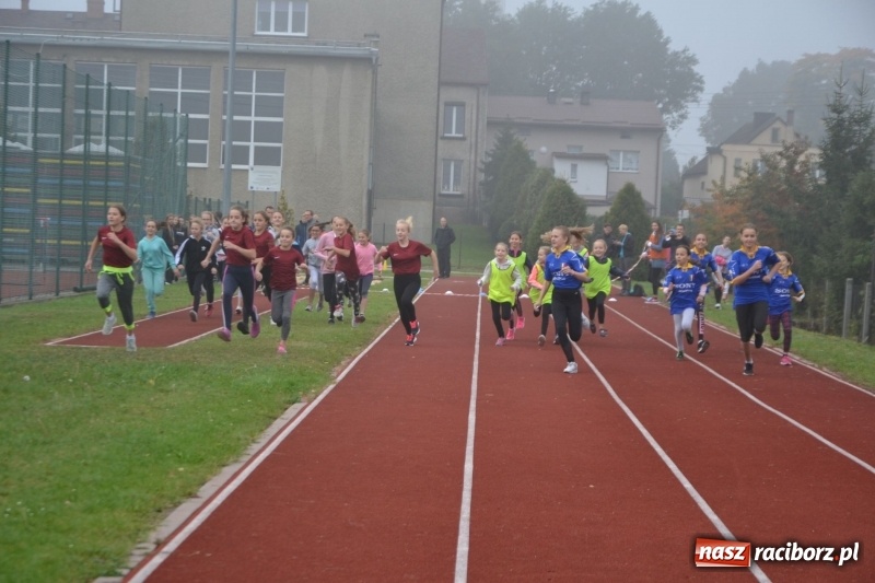 Zdjęcie w galerii na portalu naszraciborz.pl: Gminne zawody w biegach przełajowych  wiadomości z regionu