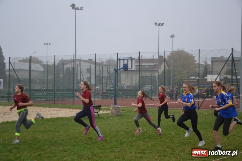 Zdjęcie w galerii na portalu naszraciborz.pl: Gminne zawody w biegach przełajowych  wiadomości z regionu