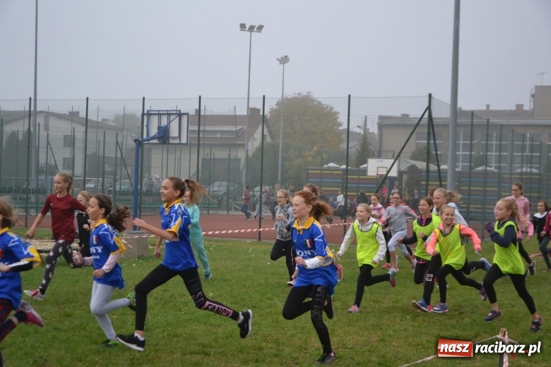 Zdjęcie w galerii na portalu naszraciborz.pl: Gminne zawody w biegach przełajowych  wiadomości z regionu
