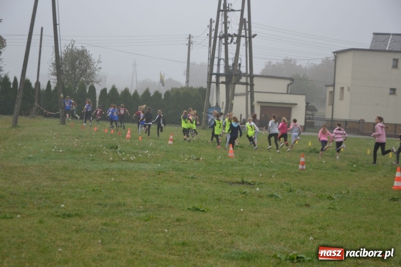 Zdjęcie w galerii na portalu naszraciborz.pl: Gminne zawody w biegach przełajowych  wiadomości z regionu