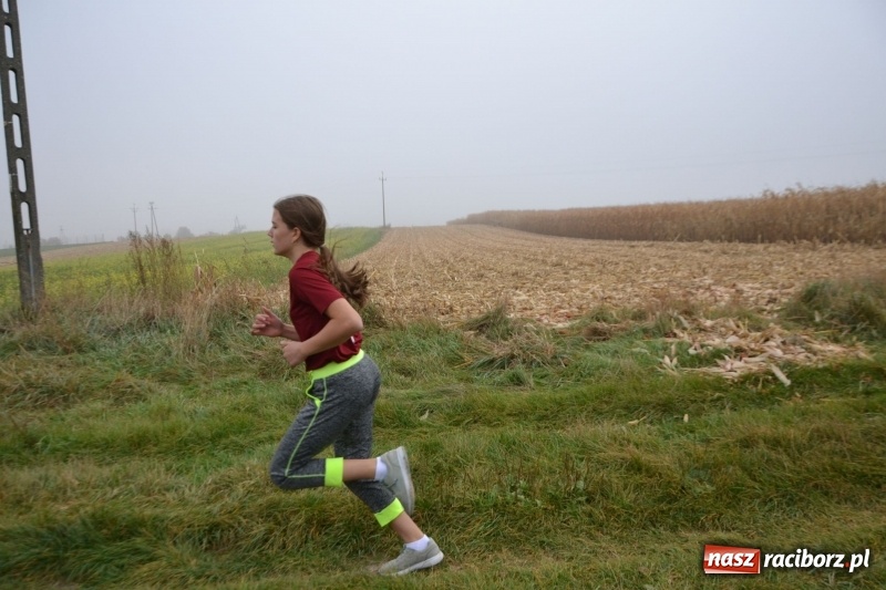 Zdjęcie w galerii na portalu naszraciborz.pl: Gminne zawody w biegach przełajowych  wiadomości z regionu