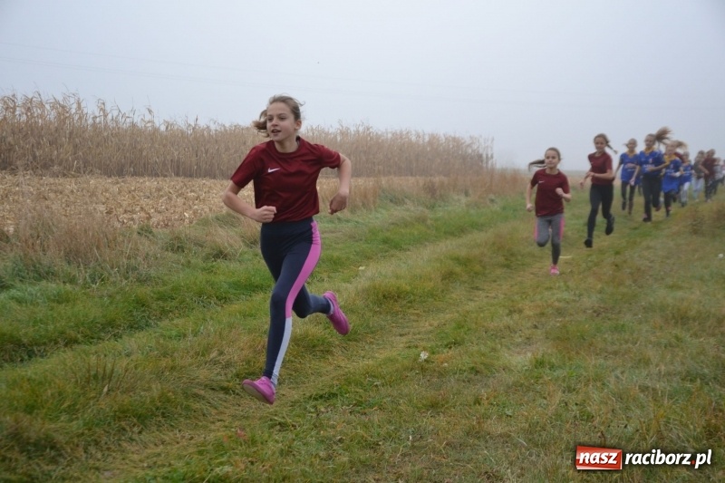 Zdjęcie w galerii na portalu naszraciborz.pl: Gminne zawody w biegach przełajowych  wiadomości z regionu