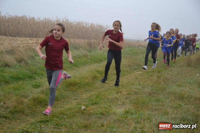 Zdjęcie w galerii na portalu naszraciborz.pl: Gminne zawody w biegach przełajowych  wiadomości z regionu