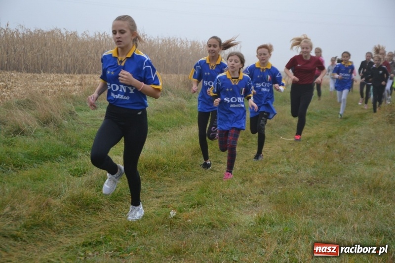 Zdjęcie w galerii na portalu naszraciborz.pl: Gminne zawody w biegach przełajowych  wiadomości z regionu