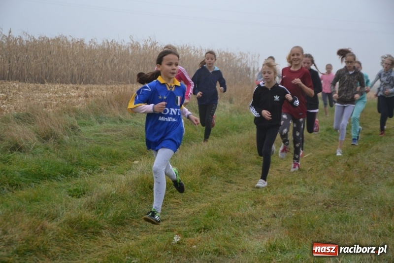 Zdjęcie w galerii na portalu naszraciborz.pl: Gminne zawody w biegach przełajowych  wiadomości z regionu