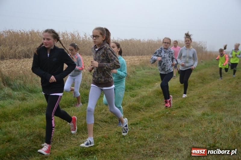 Zdjęcie w galerii na portalu naszraciborz.pl: Gminne zawody w biegach przełajowych  wiadomości z regionu