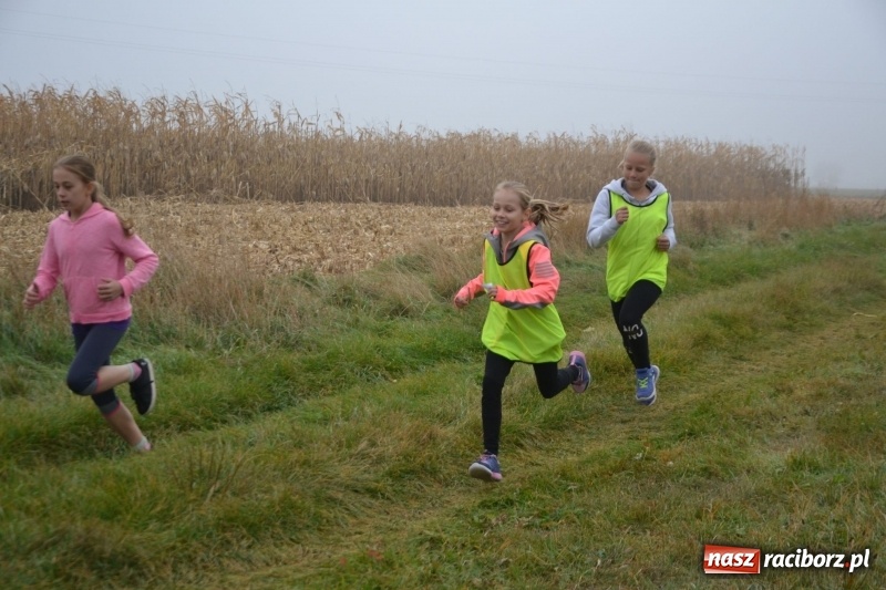 Zdjęcie w galerii na portalu naszraciborz.pl: Gminne zawody w biegach przełajowych  wiadomości z regionu