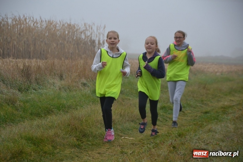 Zdjęcie w galerii na portalu naszraciborz.pl: Gminne zawody w biegach przełajowych  wiadomości z regionu