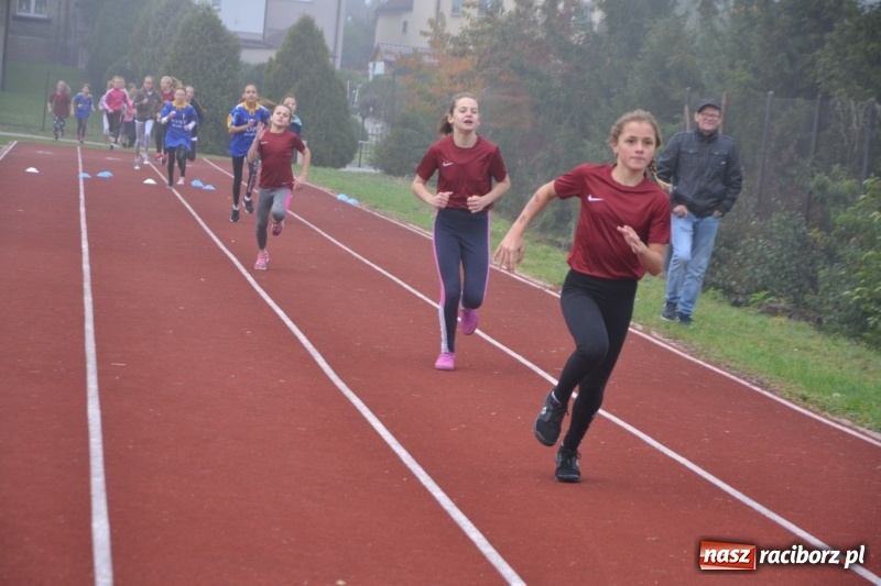Zdjęcie w galerii na portalu naszraciborz.pl: Gminne zawody w biegach przełajowych  wiadomości z regionu