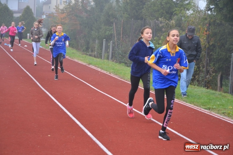 Zdjęcie w galerii na portalu naszraciborz.pl: Gminne zawody w biegach przełajowych  wiadomości z regionu