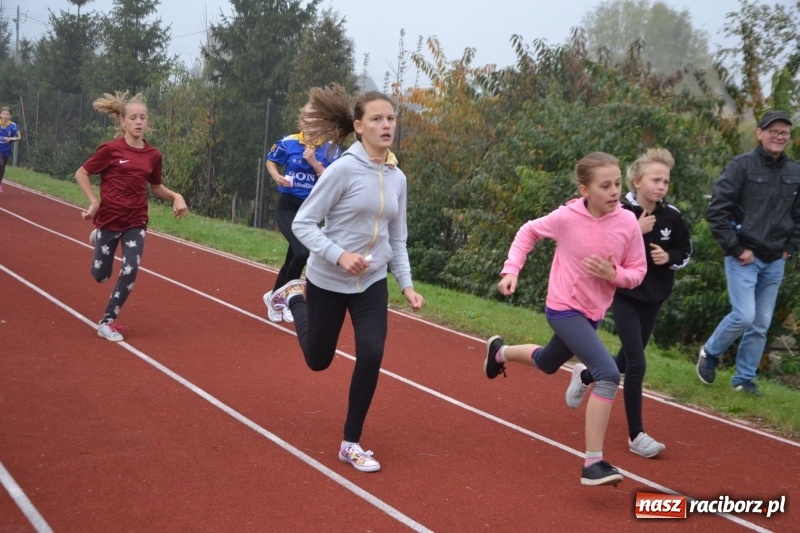 Zdjęcie w galerii na portalu naszraciborz.pl: Gminne zawody w biegach przełajowych  wiadomości z regionu