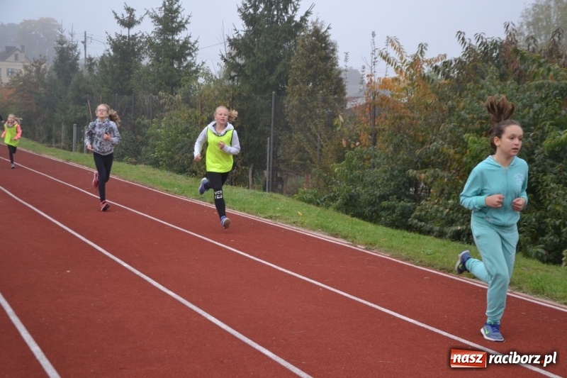 Zdjęcie w galerii na portalu naszraciborz.pl: Gminne zawody w biegach przełajowych  wiadomości z regionu