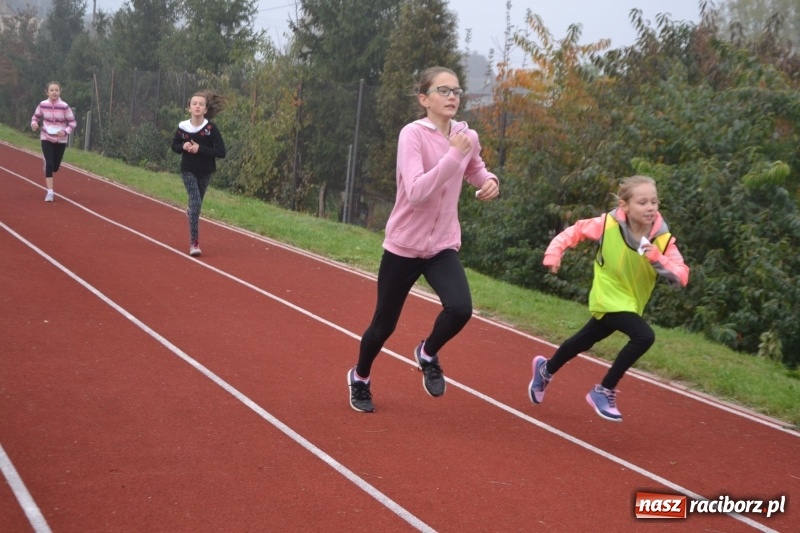 Zdjęcie w galerii na portalu naszraciborz.pl: Gminne zawody w biegach przełajowych  wiadomości z regionu