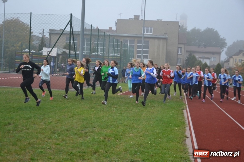 Zdjęcie w galerii na portalu naszraciborz.pl: Gminne zawody w biegach przełajowych  wiadomości z regionu