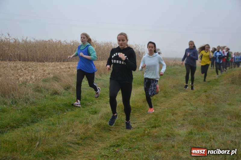 Zdjęcie w galerii na portalu naszraciborz.pl: Gminne zawody w biegach przełajowych  wiadomości z regionu