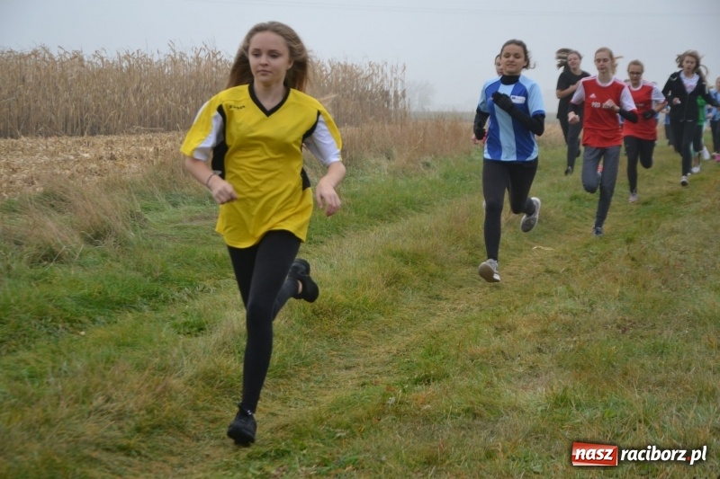 Zdjęcie w galerii na portalu naszraciborz.pl: Gminne zawody w biegach przełajowych  wiadomości z regionu