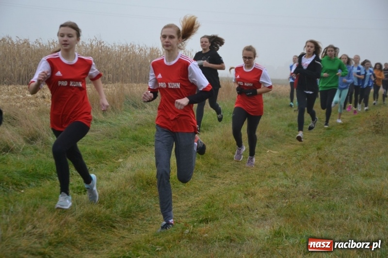 Zdjęcie w galerii na portalu naszraciborz.pl: Gminne zawody w biegach przełajowych  wiadomości z regionu