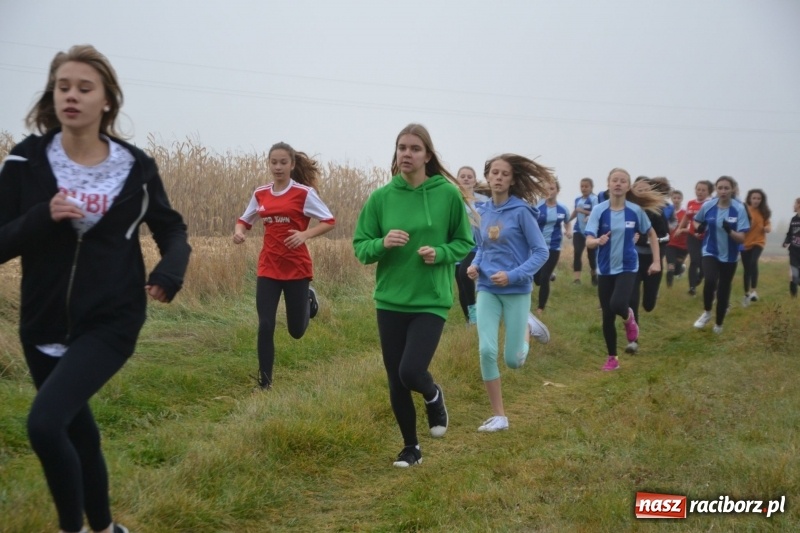 Zdjęcie w galerii na portalu naszraciborz.pl: Gminne zawody w biegach przełajowych  wiadomości z regionu