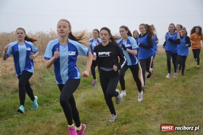 Zdjęcie w galerii na portalu naszraciborz.pl: Gminne zawody w biegach przełajowych  wiadomości z regionu