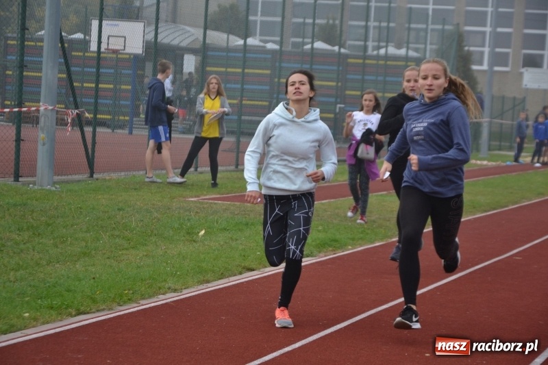 Zdjęcie w galerii na portalu naszraciborz.pl: Gminne zawody w biegach przełajowych  wiadomości z regionu