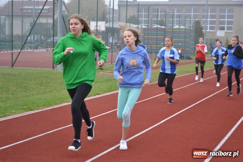 Zdjęcie w galerii na portalu naszraciborz.pl: Gminne zawody w biegach przełajowych  wiadomości z regionu