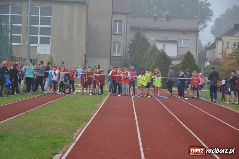 Zdjęcie w galerii na portalu naszraciborz.pl: Gminne zawody w biegach przełajowych  wiadomości z regionu