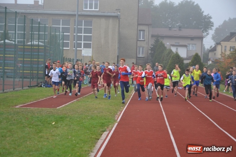 Zdjęcie w galerii na portalu naszraciborz.pl: Gminne zawody w biegach przełajowych  wiadomości z regionu