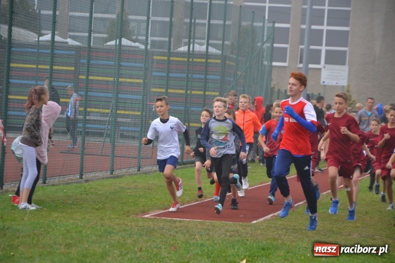 Zdjęcie w galerii na portalu naszraciborz.pl: Gminne zawody w biegach przełajowych  wiadomości z regionu