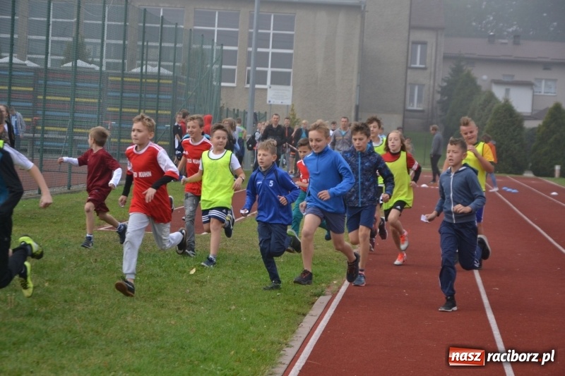 Zdjęcie w galerii na portalu naszraciborz.pl: Gminne zawody w biegach przełajowych  wiadomości z regionu