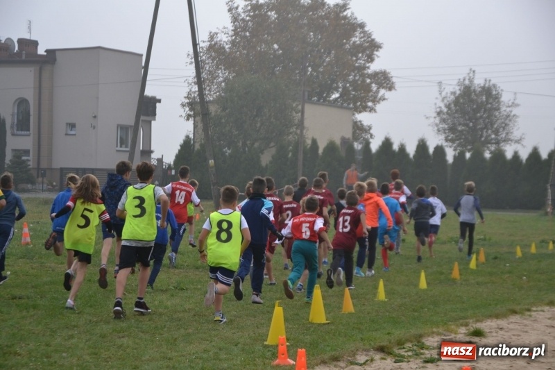 Zdjęcie w galerii na portalu naszraciborz.pl: Gminne zawody w biegach przełajowych  wiadomości z regionu