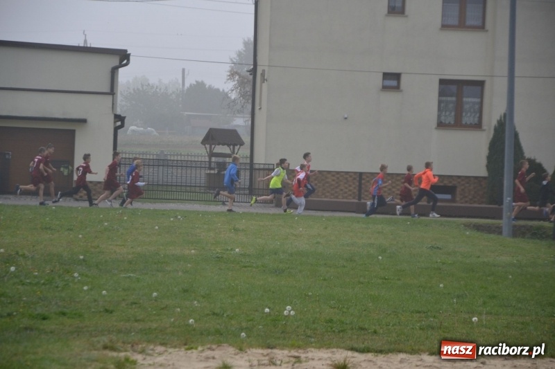 Zdjęcie w galerii na portalu naszraciborz.pl: Gminne zawody w biegach przełajowych  wiadomości z regionu