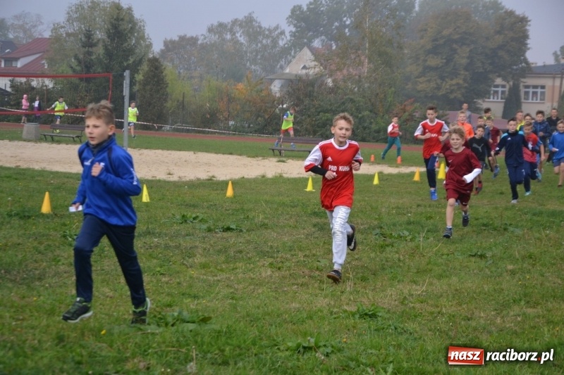 Zdjęcie w galerii na portalu naszraciborz.pl: Gminne zawody w biegach przełajowych  wiadomości z regionu