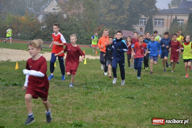 Zdjęcie w galerii na portalu naszraciborz.pl: Gminne zawody w biegach przełajowych  wiadomości z regionu