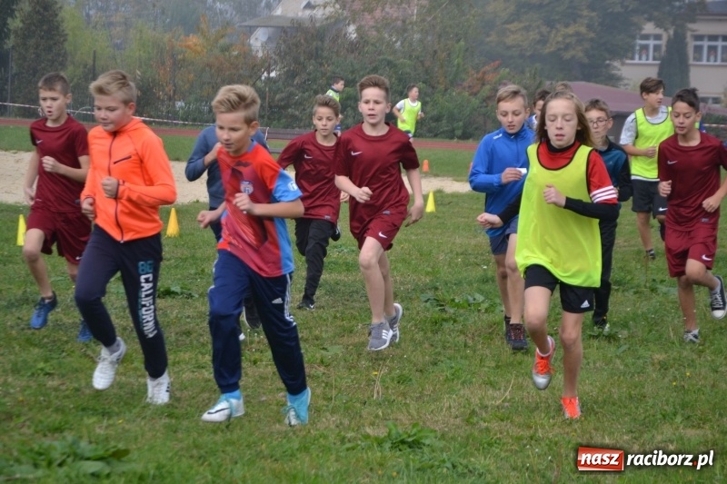 Zdjęcie w galerii na portalu naszraciborz.pl: Gminne zawody w biegach przełajowych  wiadomości z regionu