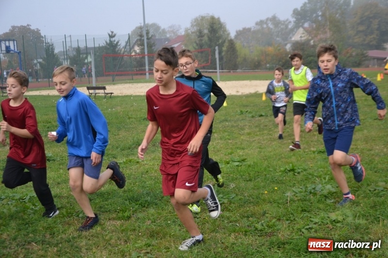 Zdjęcie w galerii na portalu naszraciborz.pl: Gminne zawody w biegach przełajowych  wiadomości z regionu