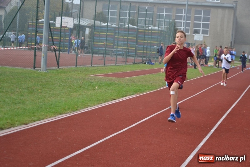 Zdjęcie w galerii na portalu naszraciborz.pl: Gminne zawody w biegach przełajowych  wiadomości z regionu