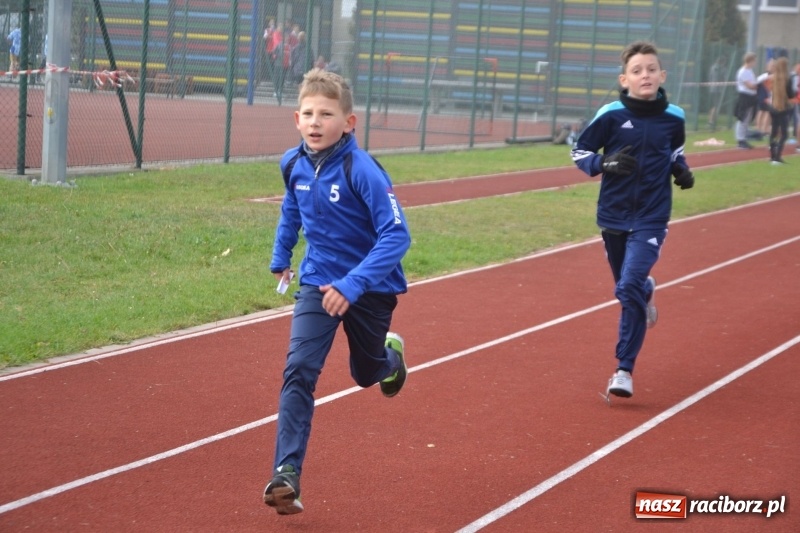 Zdjęcie w galerii na portalu naszraciborz.pl: Gminne zawody w biegach przełajowych  wiadomości z regionu