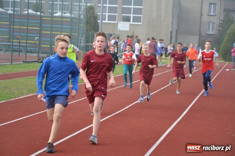 Zdjęcie w galerii na portalu naszraciborz.pl: Gminne zawody w biegach przełajowych  wiadomości z regionu
