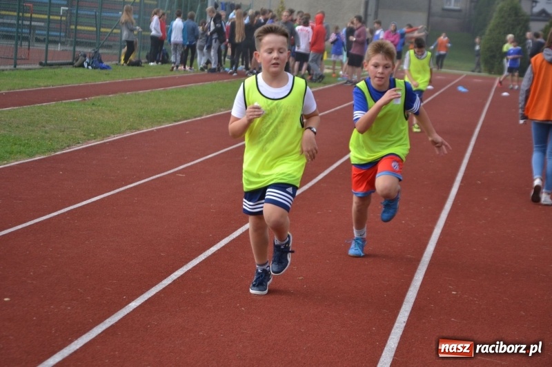 Zdjęcie w galerii na portalu naszraciborz.pl: Gminne zawody w biegach przełajowych  wiadomości z regionu