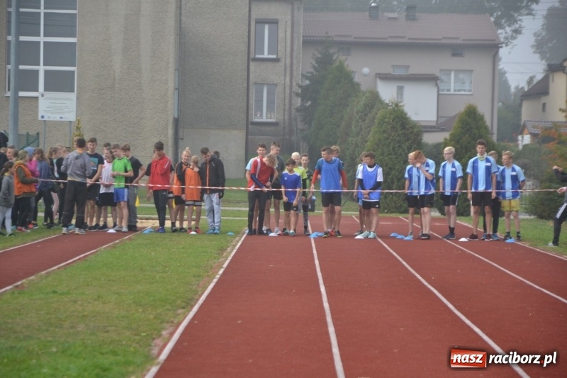 Zdjęcie w galerii na portalu naszraciborz.pl: Gminne zawody w biegach przełajowych  wiadomości z regionu