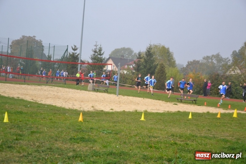 Zdjęcie w galerii na portalu naszraciborz.pl: Gminne zawody w biegach przełajowych  wiadomości z regionu