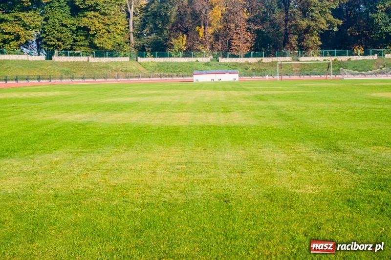 Zdjęcie w galerii na portalu naszraciborz.pl: Tak wygląda oświetlenie stadionu w Raciborzu. Co się dzieje z murawą? Jest miejscami spalona wiadomości z regionu