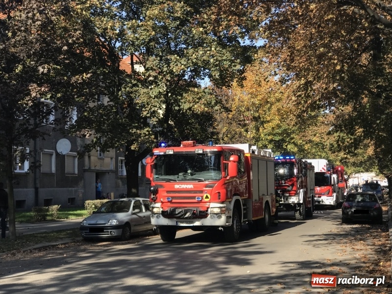 Zdjęcie w galerii na portalu naszraciborz.pl: Zadymienie w mieszkaniu przy Skłodowskiej FOTO  wiadomości z regionu