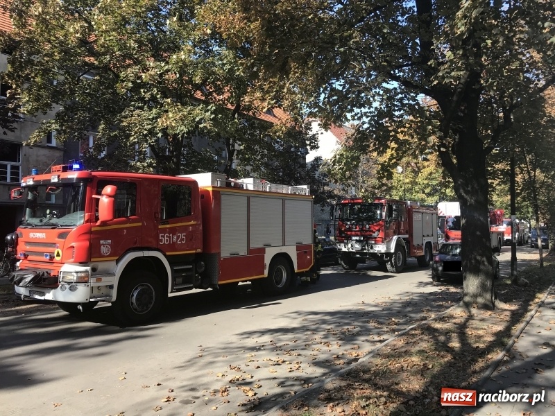 Zdjęcie w galerii na portalu naszraciborz.pl: Zadymienie w mieszkaniu przy Skłodowskiej FOTO  wiadomości z regionu