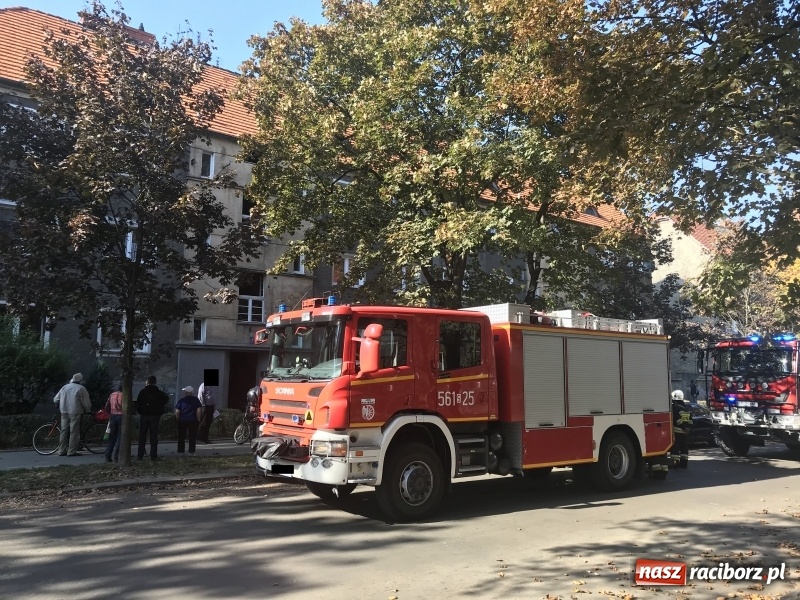 Zdjęcie w galerii na portalu naszraciborz.pl: Zadymienie w mieszkaniu przy Skłodowskiej FOTO  wiadomości z regionu