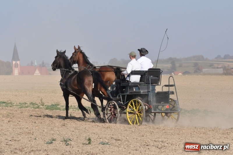 Zdjęcie w galerii na portalu naszraciborz.pl: Przez lasy, pola i łąki na pogoń za lisem. Hubertus w Żerdzinach 2018 VIDEO wiadomości z regionu