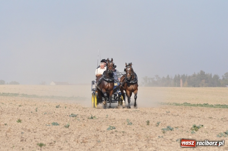 Zdjęcie w galerii na portalu naszraciborz.pl: Przez lasy, pola i łąki na pogoń za lisem. Hubertus w Żerdzinach 2018 VIDEO wiadomości z regionu