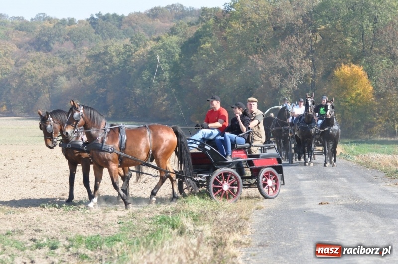 Zdjęcie w galerii na portalu naszraciborz.pl: Przez lasy, pola i łąki na pogoń za lisem. Hubertus w Żerdzinach 2018 VIDEO wiadomości z regionu