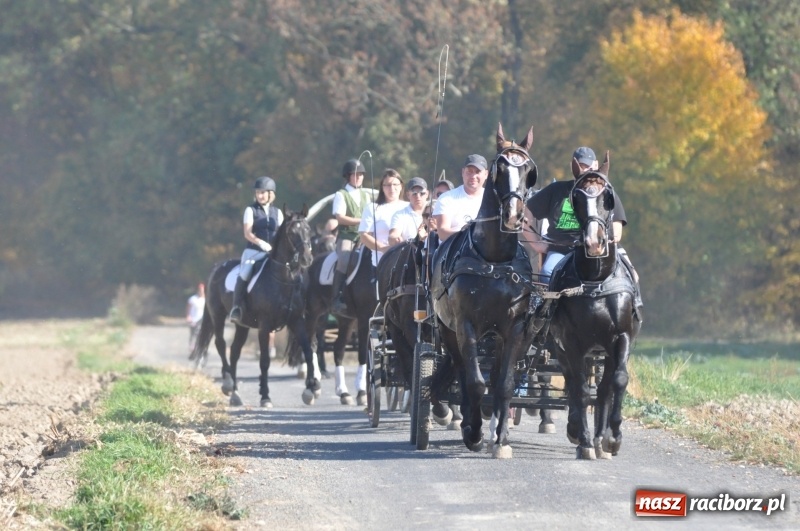 Zdjęcie w galerii na portalu naszraciborz.pl: Przez lasy, pola i łąki na pogoń za lisem. Hubertus w Żerdzinach 2018 VIDEO wiadomości z regionu