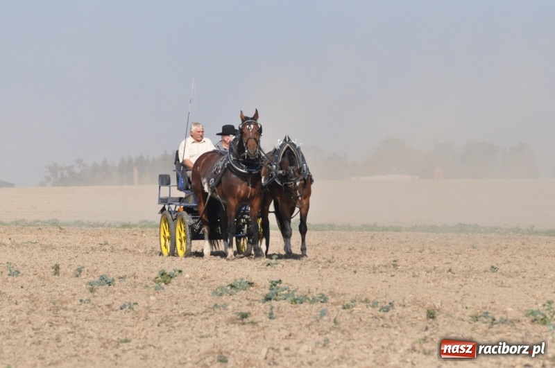 Zdjęcie w galerii na portalu naszraciborz.pl: Przez lasy, pola i łąki na pogoń za lisem. Hubertus w Żerdzinach 2018 VIDEO wiadomości z regionu